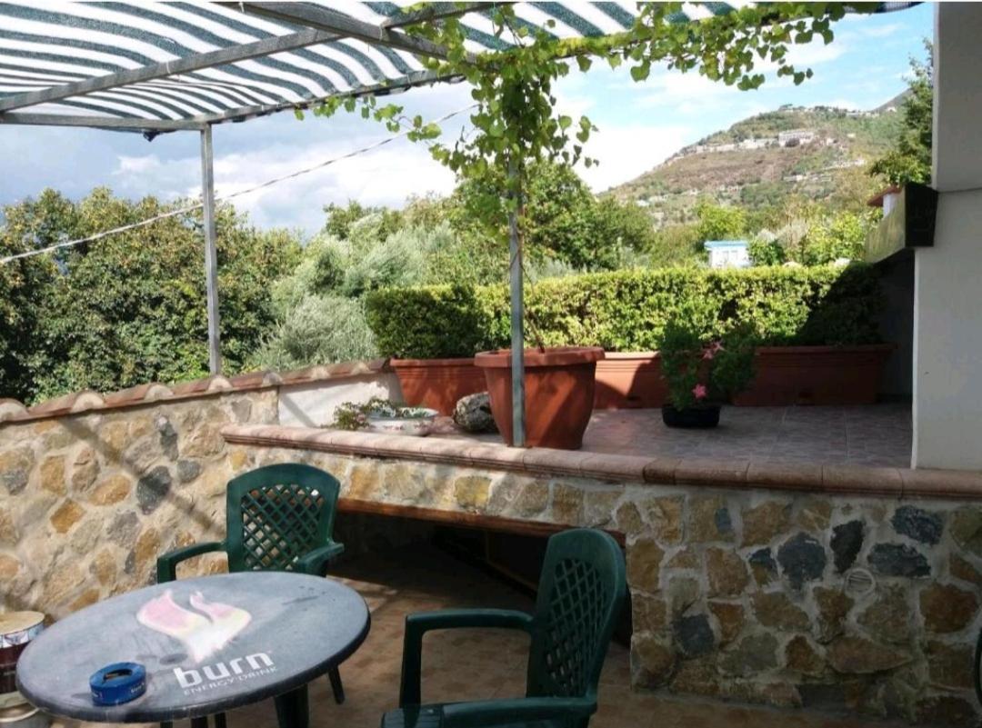 Villa Mola Bed And Breakfast Corbara  Экстерьер фото
