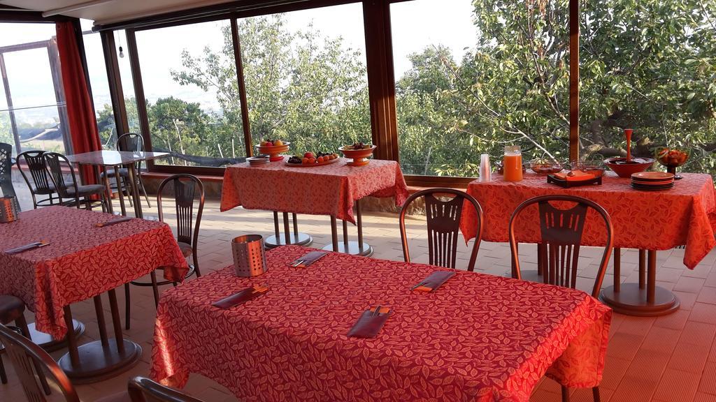 Villa Mola Bed And Breakfast Corbara  Экстерьер фото